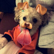 Profile Picture of Brad Ruiz (@bradruiz4964) on Youtube