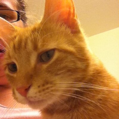 Profile Picture of Matt Peckhart (@MattPeckhart) on Twitter