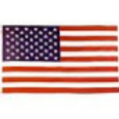 Profile Picture of Randy Thorp (@carguy33647) on Twitter