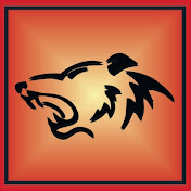 Profile Picture of Davis Nguyen (@DNTurtlewax) on Youtube