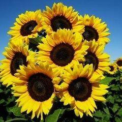 Profile Picture of Robert Spradley340 (@robertspradley340) on Tiktok