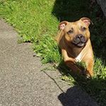 Profile Picture of Ciera Evans (@cieras_spam) on Instagram