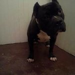 Profile Picture of Keith Saran Brothers (@brotherskeith) on Instagram