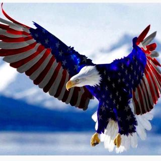 Profile Picture of Mark Wommack (@mark.wommack.102) on Facebook