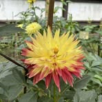 Profile Picture of Robert Haselbacher (@robert.haselbacher.3) on Facebook