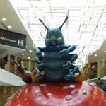 Profile Picture of benjamin waldmann (@benjidulune) on Instagram