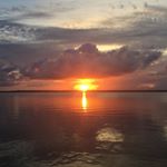 Profile Picture of Tyler Davies (@tylerdavies56) on Instagram