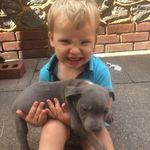 Profile Picture of George_harrand (@george_harrand) on Instagram