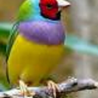 Profile Picture of Ben Nabors (@Bennabors50) on Twitter