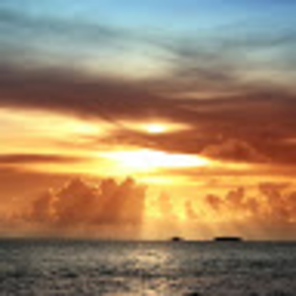 Shawna Mcnabb - Poshmark Profile Picture of Shawna Mcnabb (@smcnabb03) on Poshmark