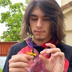 Profile Picture of Joshua Marrero (@equinox_rfe) on Instagram