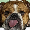 Profile Picture of Brianna Keith (@Brianna Keith) on Flickr