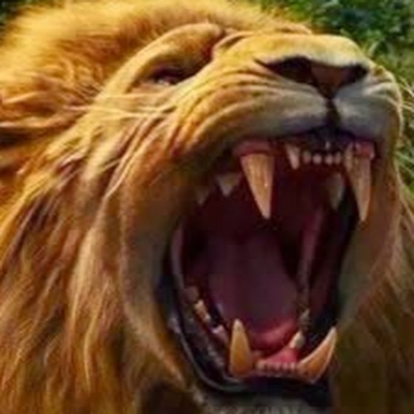 Profile Picture of Pedromiguel Dahdah (@pedromigueld) on Poshmark