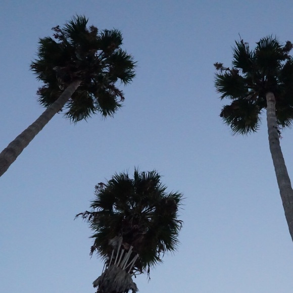 Profile Picture of Lance B (@lanjb222) on Poshmark