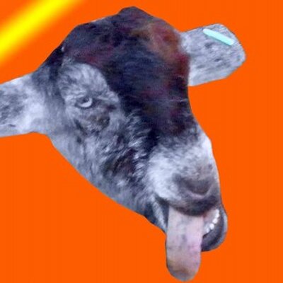 Profile Picture of Peter Downes (@PeteDownes1304) on Twitter