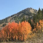 Profile Picture of Giselle Daniels (@giselle.daniels.1671) on Facebook