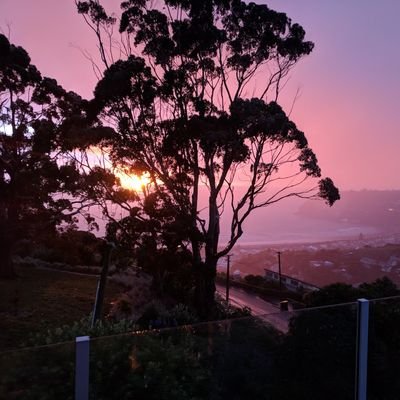 Profile Picture of Justin Morgenroth (@jamorgenroth) on Twitter