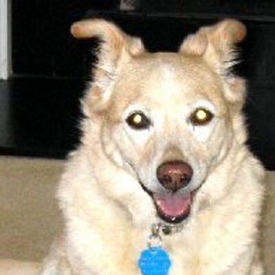 Profile Picture of Paul Tolbert (@paultolbert) on Twitter