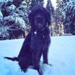 Profile Picture of Greg Franson (@greg.franson) on Instagram