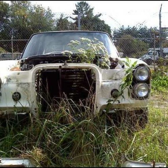 Profile Picture of Scott Rader (@partyofkashyyyk) on Poshmark