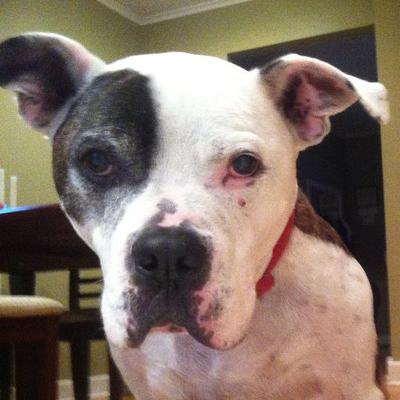 Profile Picture of Jaime DeLage (@JaimeDeLage) on Twitter