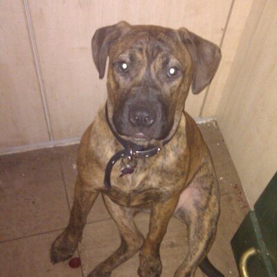 Profile Picture of Thomas William Ord (@mrord1961) on Twitter
