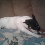 Profile Picture of Keegan Carl Farley (@farley1124) on Instagram