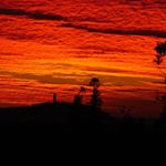 Profile Picture of Robert Schwarze (@robertschwarcze) on Instagram