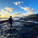 Profile Picture of Alex Healy (@alexmorganhealy) on Instagram