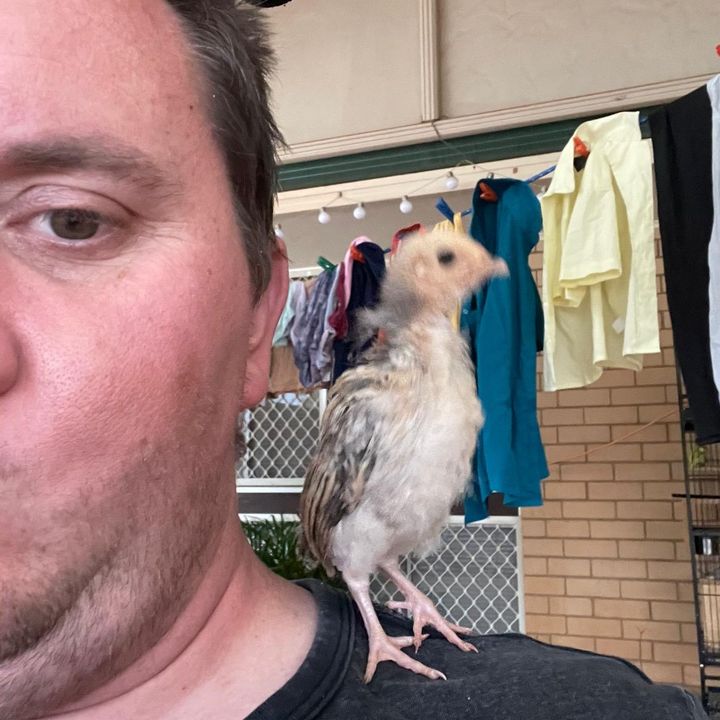 Profile Picture of edwardgrzybowski (@edwardgrzybowski) on Tiktok