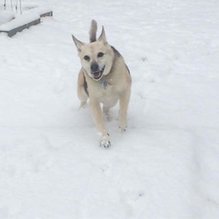 Carole Drumm - Facebook Profile Picture of Carole Drumm (@carole.drumm.5) on Facebook