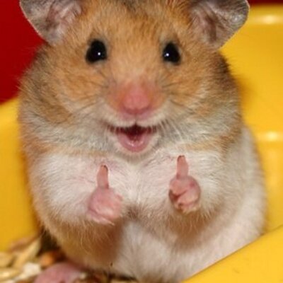 Profile Picture of Jim Van Beek (@sjimsie) on Twitter