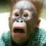 Profile Picture of Allen Marshall (@um_allen_here5) on Instagram