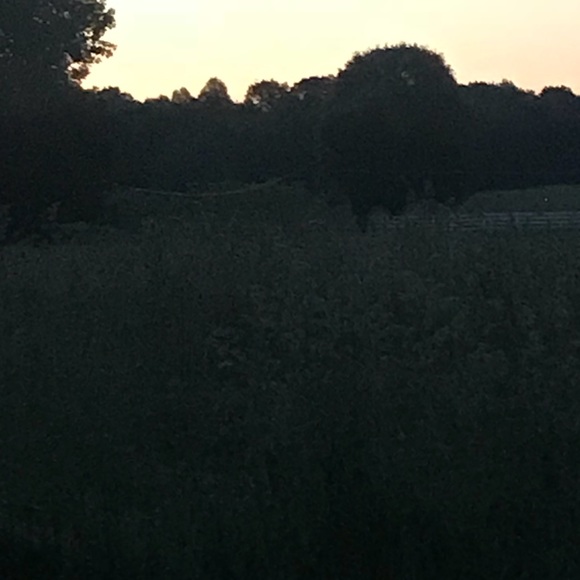 Profile Picture of Leann Straley (@leannss23) on Poshmark