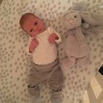 Profile Picture of Theodore Levi (@teddybearlevi) on Instagram