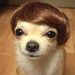 Profile Picture of Andrée-Anne Roberge (@andou) on Pinterest