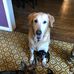 Profile Picture of Tina Schaffer (@tina.schaffer.965) on Facebook