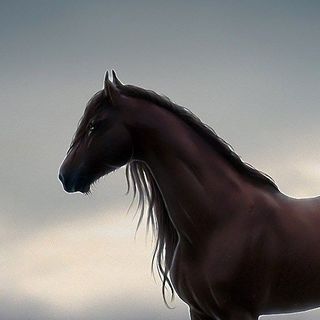 Profile Picture of Devin Eady (@Devin-Eady) on Facebook