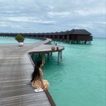 Profile Picture of Sam (@samira_rahman) on Instagram