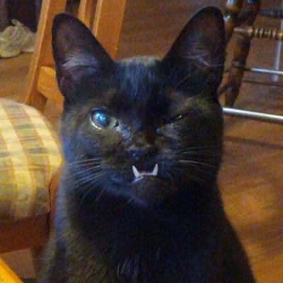 Profile Picture of Tess Clark (@TessTessclark16) on Twitter