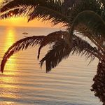 Profile Picture of Bianca Gayer (@biancagayer) on Instagram