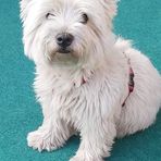 Profile Picture of Marita Liebner (@marita.liebner.7) on Facebook