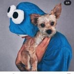 Profile Picture of Rhyheim Shabazz (@diogofarias01) on Instagram