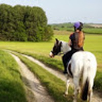 Profile Picture of Phoebe Parsons (@phoebe-parsons-9) on Quora