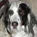 Profile Picture of Kirby Ellis (@kirby.ellis.5) on Facebook