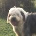 Profile Picture of Jeffrey England (@jeffrey.england.925) on Facebook
