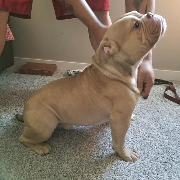 Jaquela Bearbow - Poshmark Profile Picture of Jaquela Bearbow (@jbearbow) on Poshmark