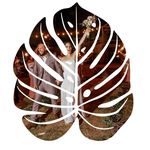 Profile Picture of Esᴘᴀᴄ̧ᴏ Mᴏɴsᴛᴇʀᴀ Jᴀʀᴅɪɴs (@espacomonsterajardins) on Instagram