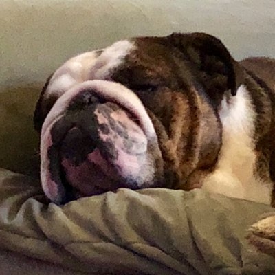 Profile Picture of Kenneth Sturdivant (@Kenstur) on Twitter
