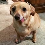 Profile Picture of Julius Matthews (@shockzzritalx) on Instagram